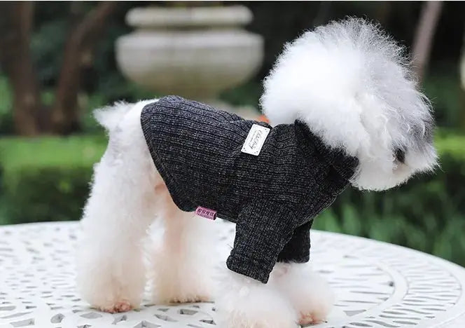 Dolcevita caldo per animali domestici in autunno/inverno - | GoodBoyGadgets