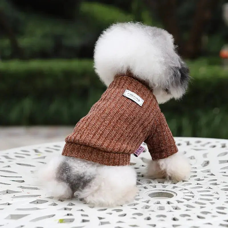 Dolcevita caldo per animali domestici in autunno/inverno - | GoodBoyGadgets