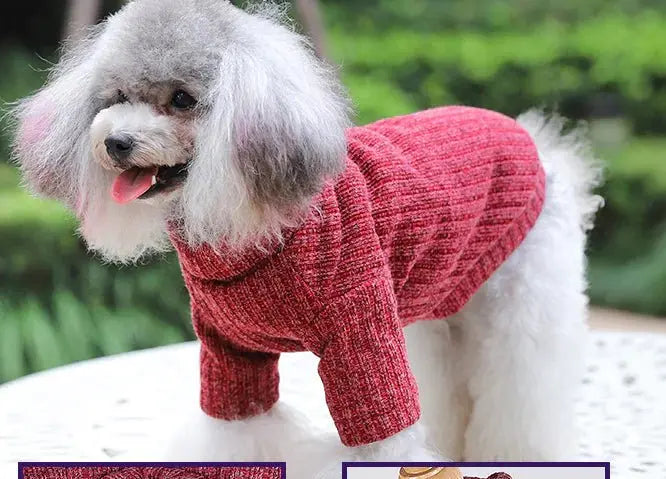 Dolcevita caldo per animali domestici in autunno/inverno - | GoodBoyGadgets