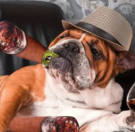 Gioco Masticabile per Cani "Sigaro" in Peluche | Con Squeak per il Massimo Divertimento - GoodBoyGadgets