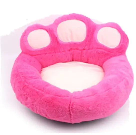 Zampa di orso