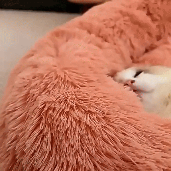 Gattino bianco che dorme profondamente in una morbida cuccia rosa di peluche