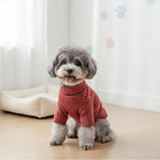 Dolcevita caldo per animali domestici in autunno/inverno - | GoodBoyGadgets