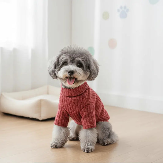 Dolcevita caldo per animali domestici in autunno/inverno - | GoodBoyGadgets