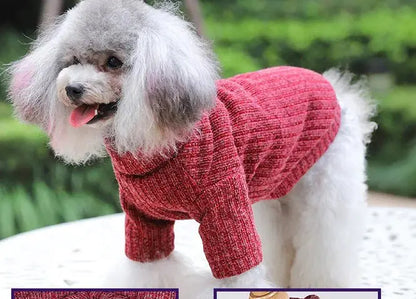 Dolcevita caldo per animali domestici in autunno/inverno - | GoodBoyGadgets