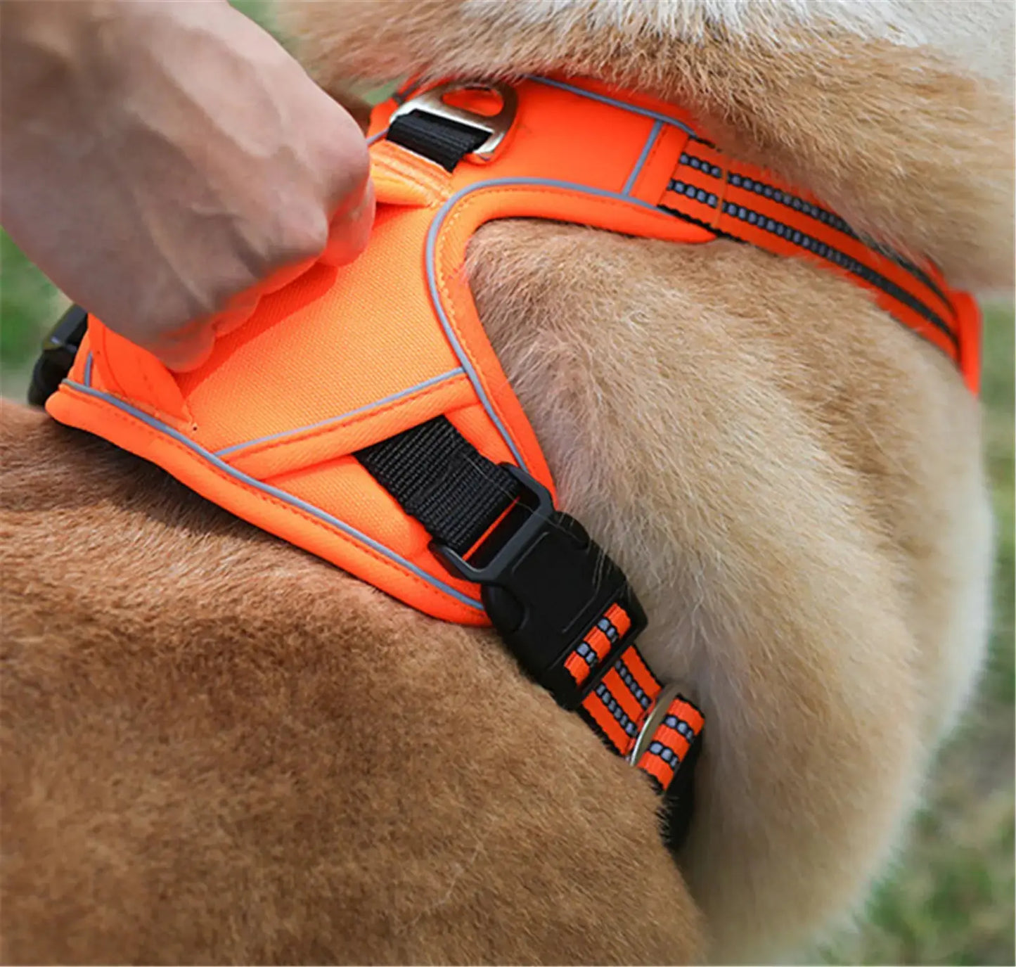 Pettorina Tattica Professionale per Cani - Robusta, Anti-Tiro e con Maniglia di Sicurezza - | GoodBoyGadgets